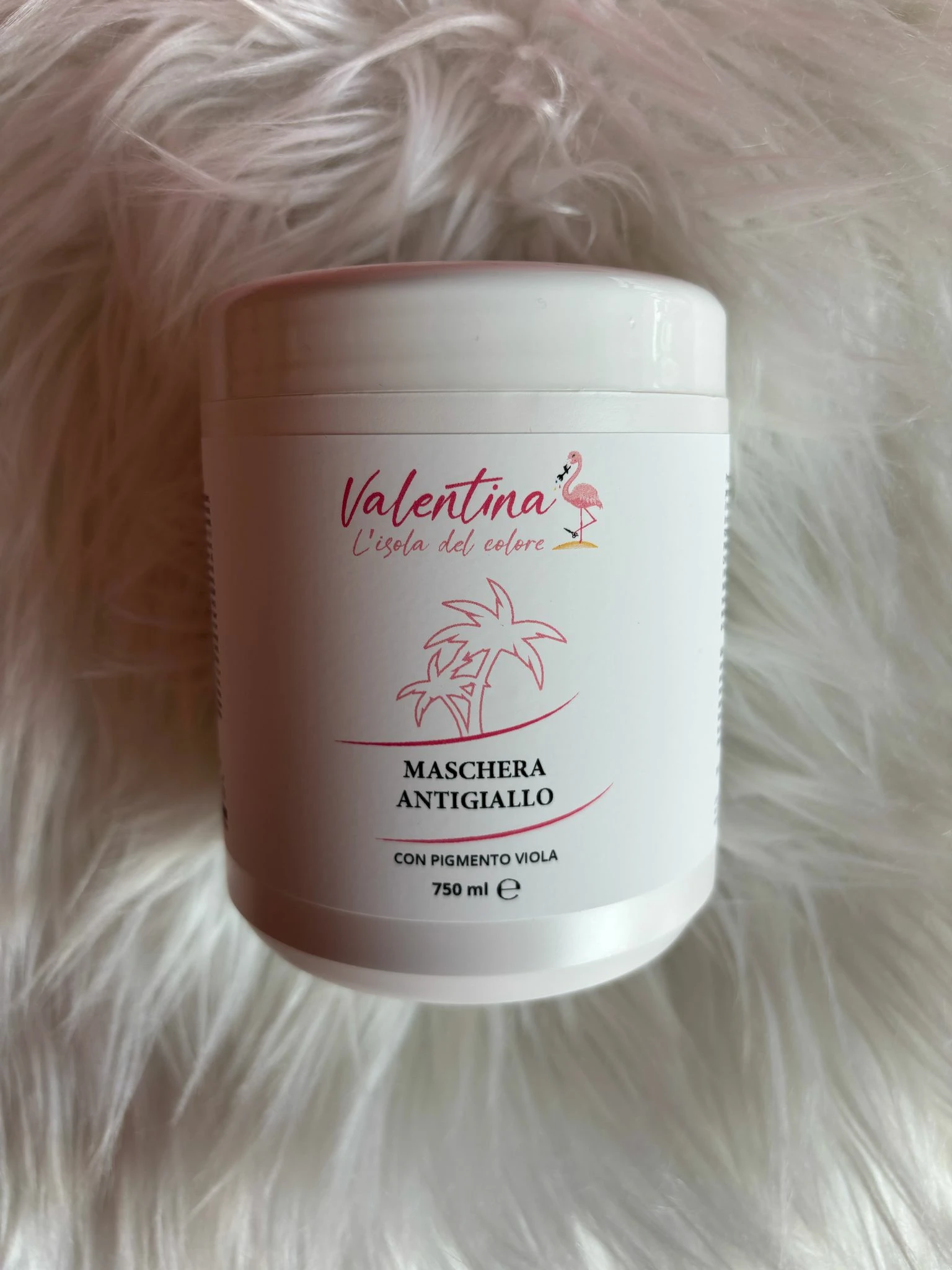 PHOTO-2025-06-03-15-51-27 2